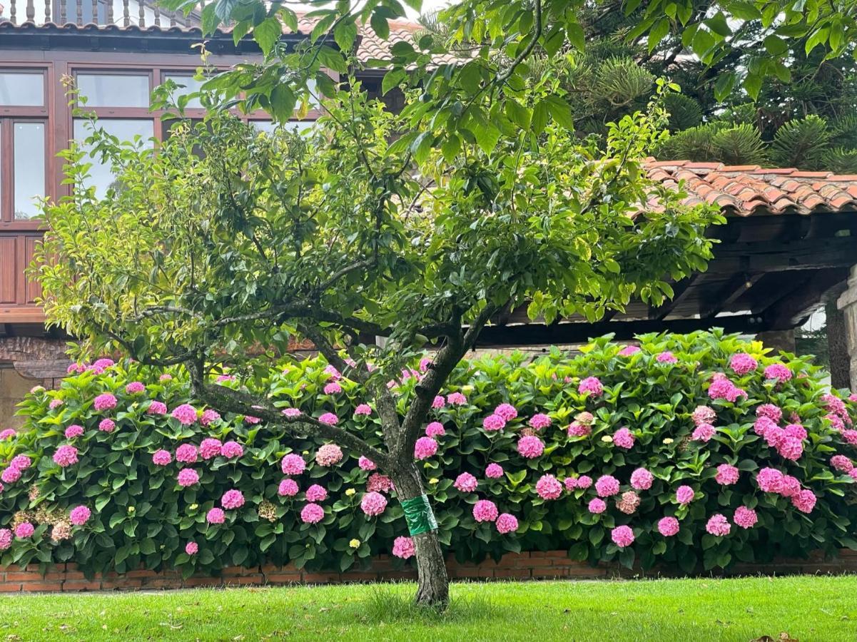 La Solana De Mogro Villa Buitenkant foto